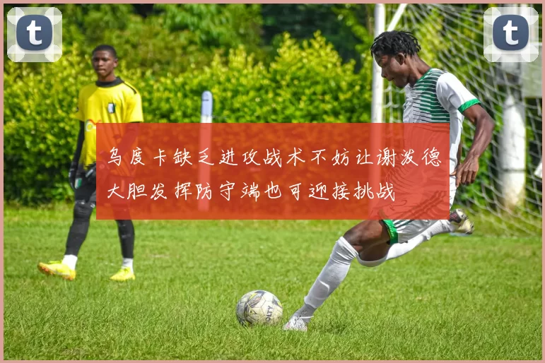 乌度卡缺乏进攻战术不妨让谢泼德大胆发挥防守端也可迎接挑战